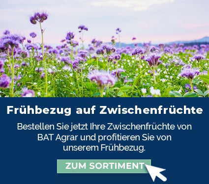 Frühbezug auf Zwischenfrüchte von BAT Agrar